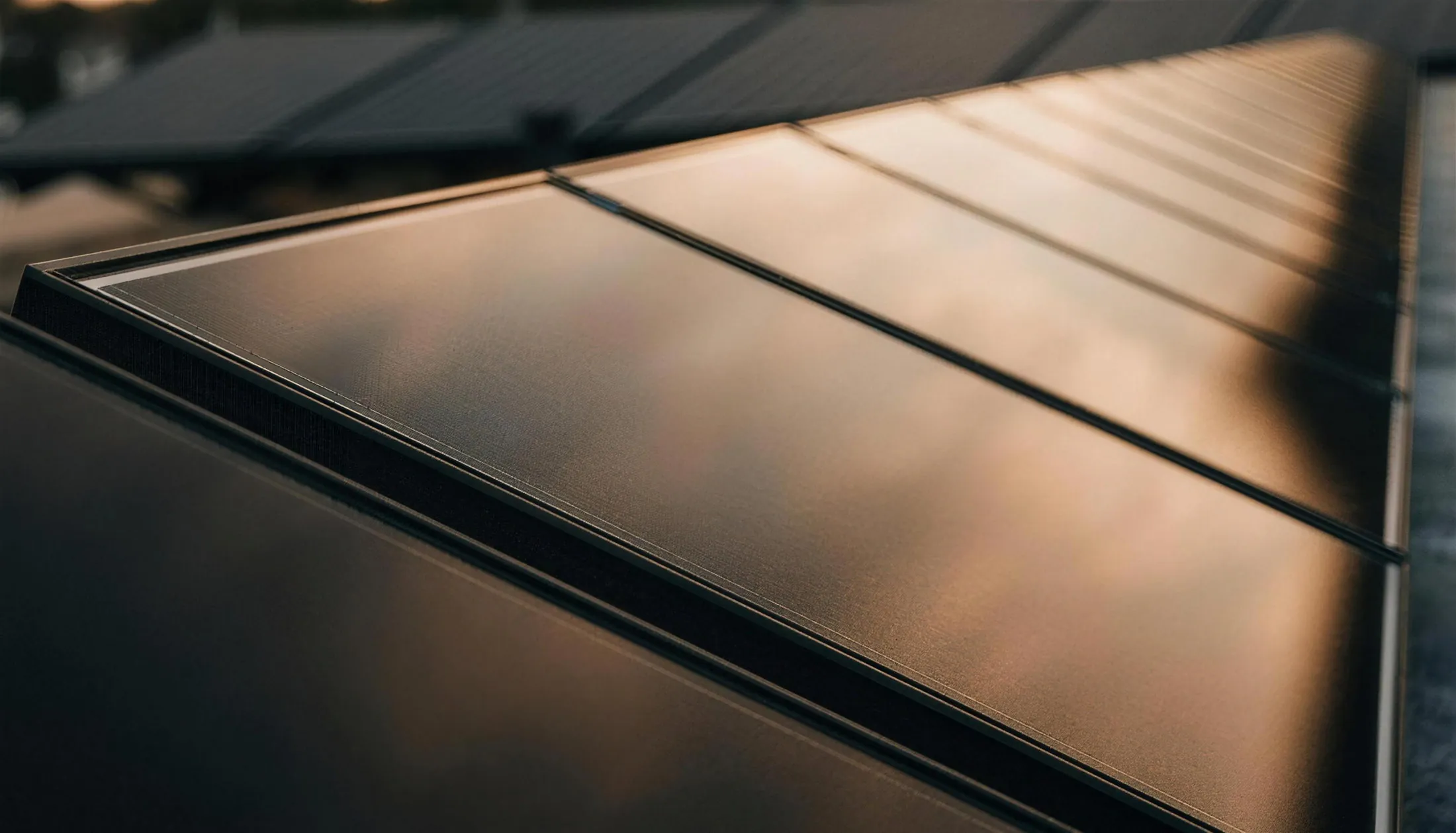 Close-up of black Lewis solar panels on a roof